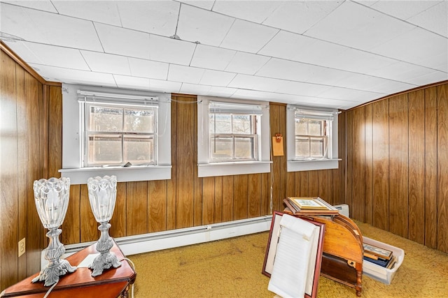 misc room with wood walls, carpet flooring, and baseboard heating