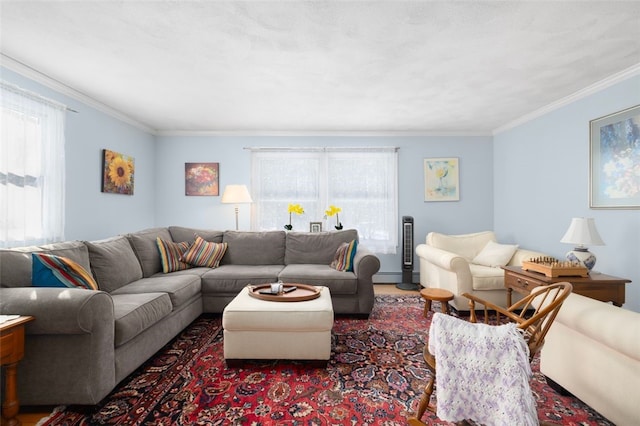 living room featuring a baseboard heating unit, crown molding, and plenty of natural light