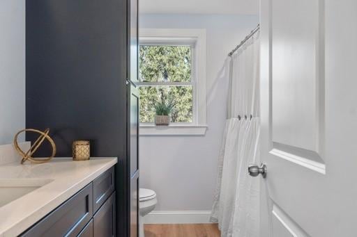 bathroom featuring vanity, hardwood / wood-style flooring, and toilet