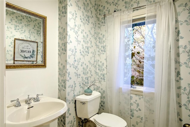 bathroom featuring sink and toilet