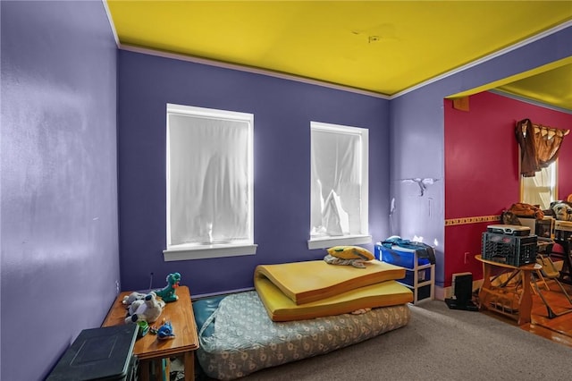 interior space featuring crown molding and carpet floors