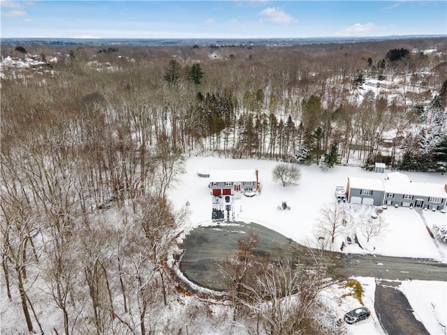 view of snowy aerial view