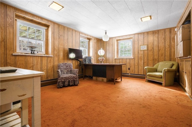 office space featuring a baseboard radiator and light carpet