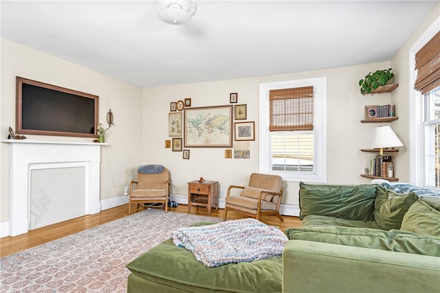 living room with wood-type flooring