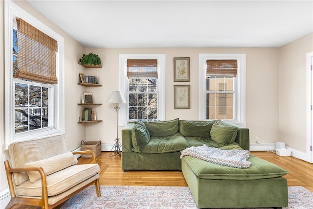 living room with wood-type flooring