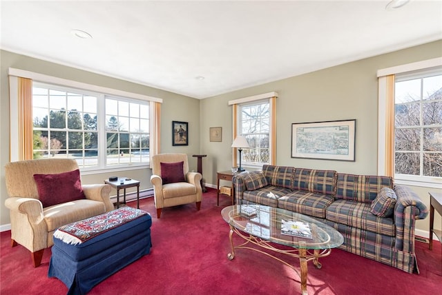 living room with a healthy amount of sunlight, carpet floors, and a baseboard heating unit