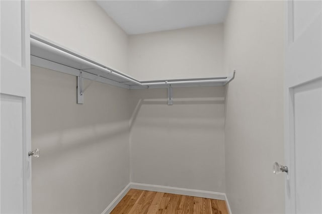 walk in closet with light hardwood / wood-style flooring