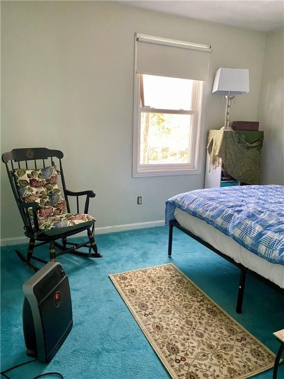 bedroom with carpet floors