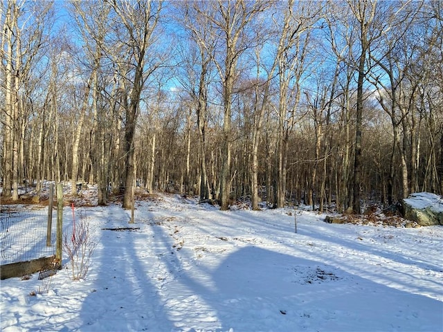 view of snowy yard