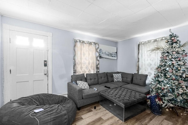 living room featuring light hardwood / wood-style flooring