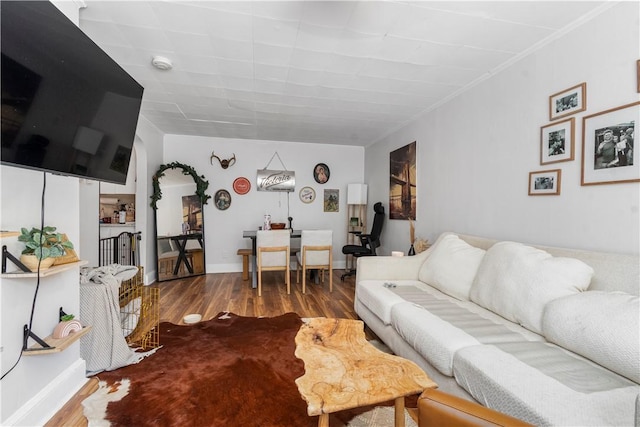 living room with hardwood / wood-style flooring