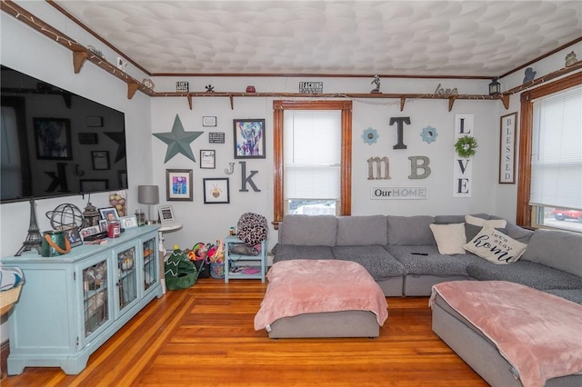 living room with wood-type flooring and crown molding