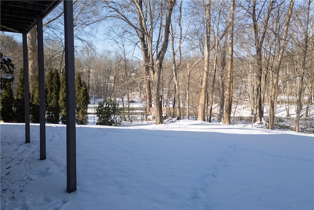 view of snowy yard