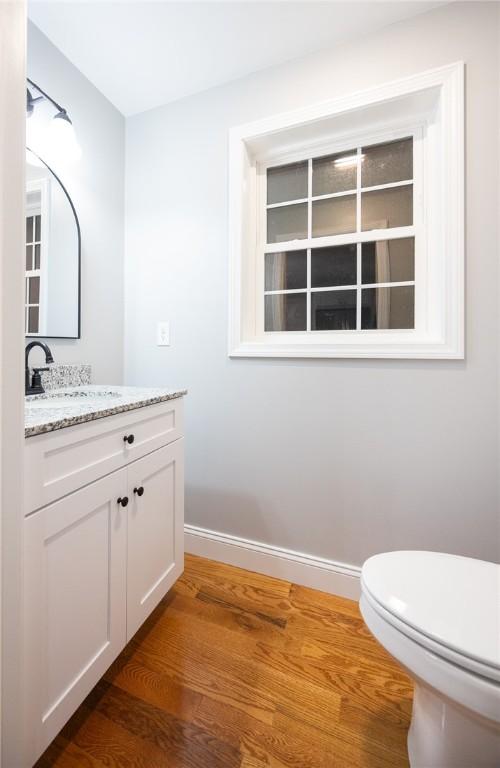 bathroom with hardwood / wood-style flooring, vanity, and toilet