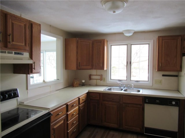 kitchen with range with electric cooktop, dishwasher, sink, and dark hardwood / wood-style flooring