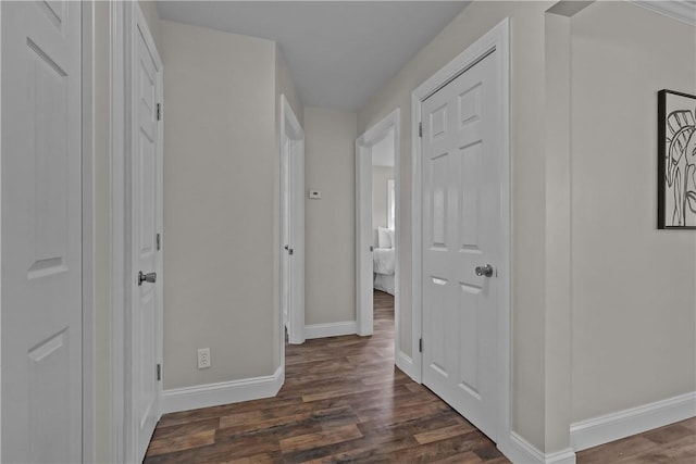 corridor featuring dark hardwood / wood-style flooring