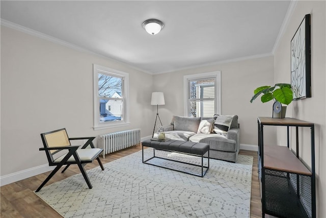 living room featuring crown molding, radiator, and hardwood / wood-style floors