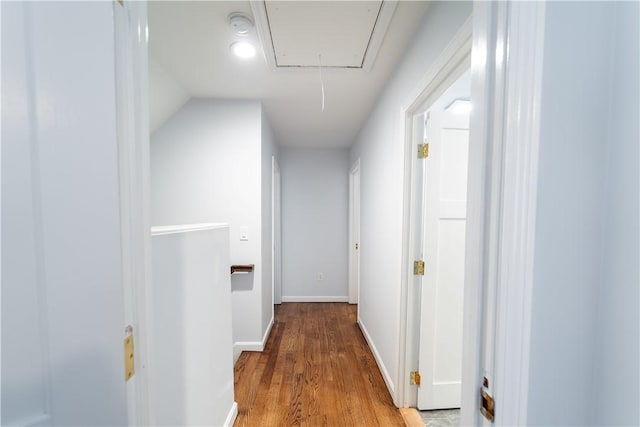 corridor with wood-type flooring