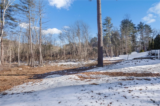 view of yard layered in snow