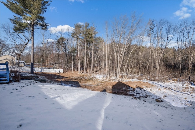 view of yard layered in snow