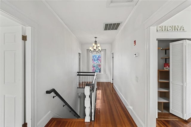 corridor featuring ornamental molding, dark hardwood / wood-style flooring, and a notable chandelier