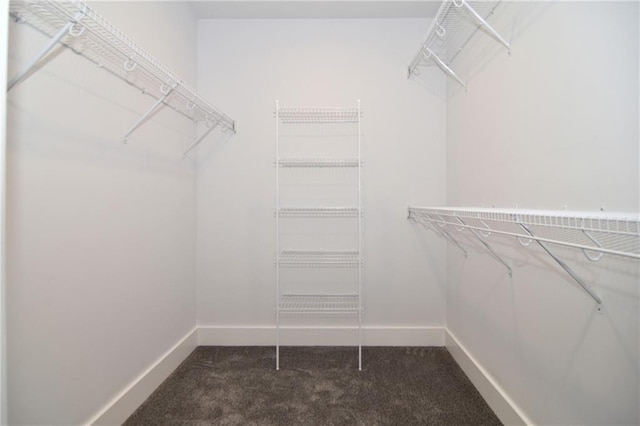 walk in closet with dark colored carpet