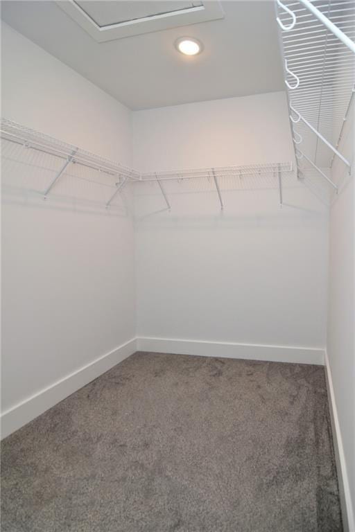 walk in closet featuring carpet