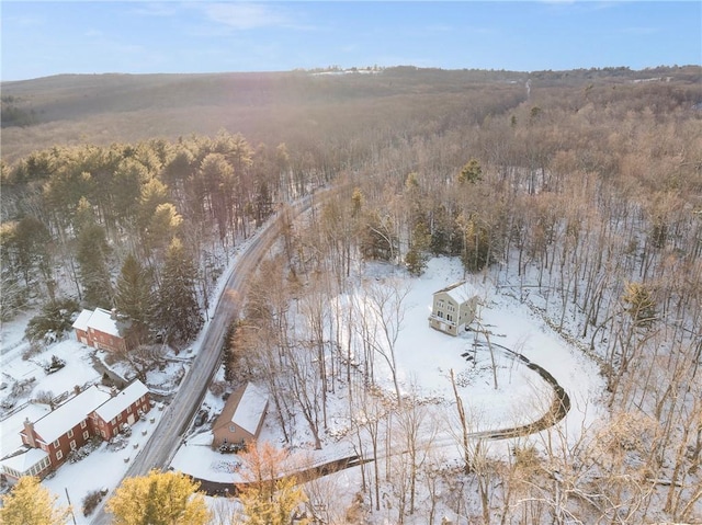 view of snowy aerial view