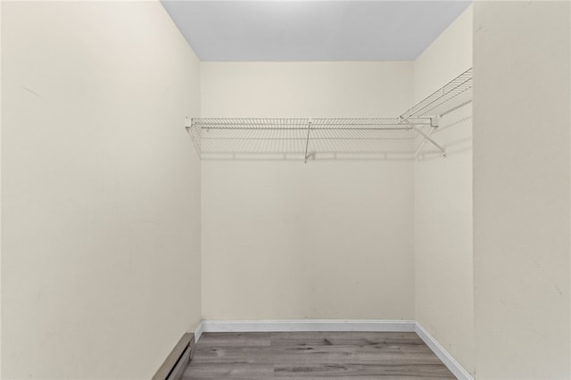 walk in closet with hardwood / wood-style floors