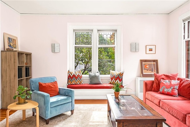 sitting room with wood-type flooring