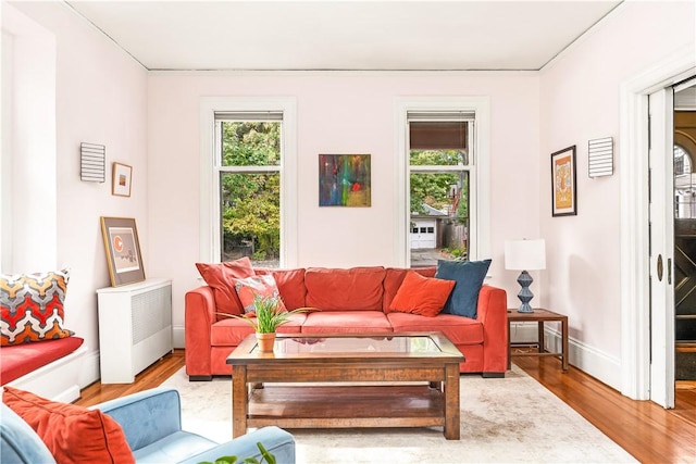 living room with wood-type flooring