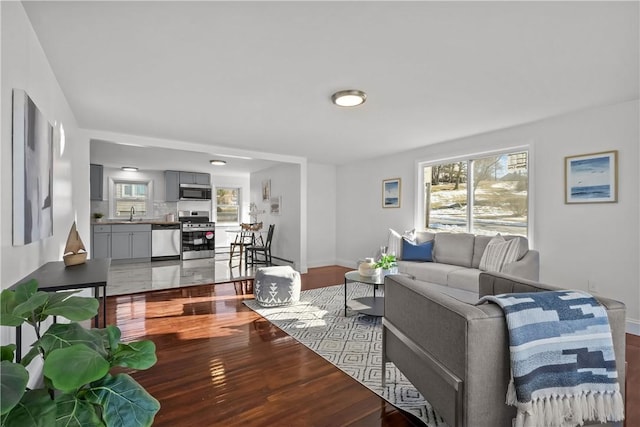 living room with hardwood / wood-style floors and sink