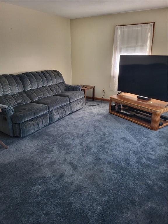 living room with carpet flooring