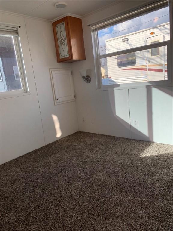 spare room featuring crown molding and carpet floors