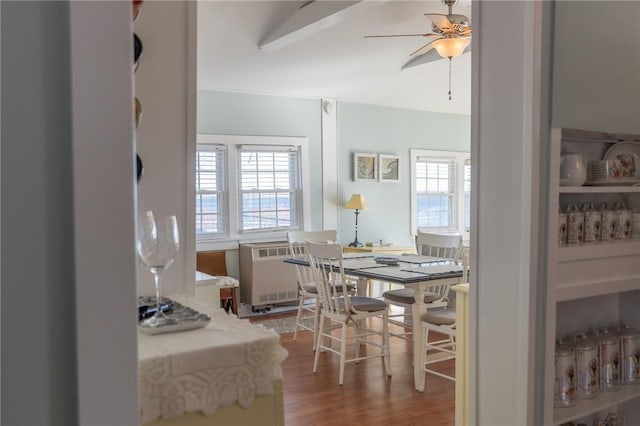 dining room with ceiling fan, wood-type flooring, and radiator heating unit