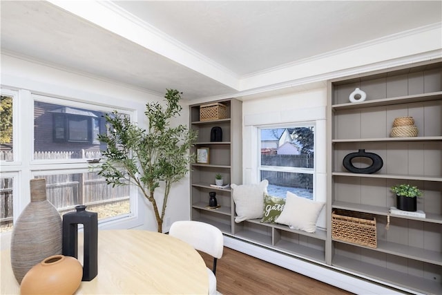 interior space featuring wood-type flooring, ornamental molding, a wealth of natural light, and baseboard heating