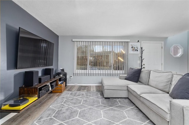 living room featuring hardwood / wood-style flooring