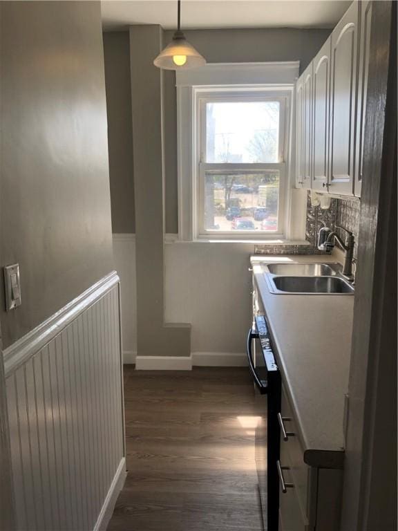 laundry area featuring sink and dark wood-type flooring