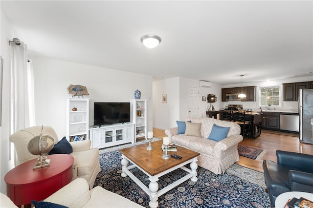 living room featuring sink and wood-type flooring