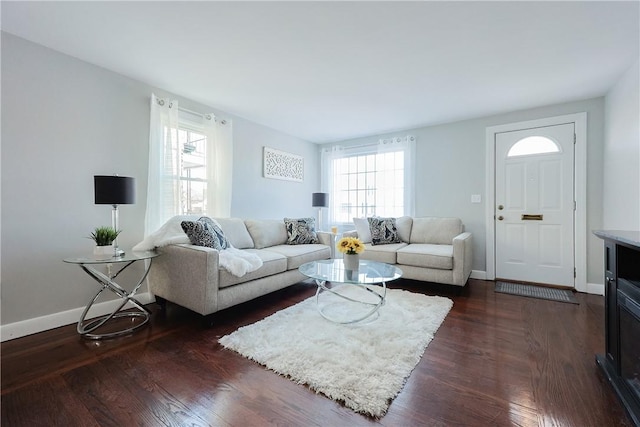 living room featuring a healthy amount of sunlight and dark hardwood / wood-style flooring