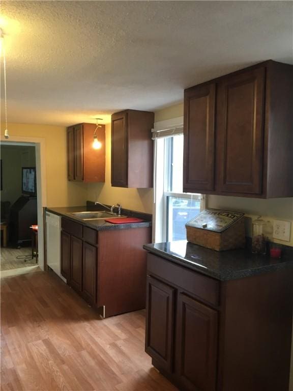 kitchen featuring dark brown cabinetry, sink, a textured ceiling, white dishwasher, and light hardwood / wood-style floors