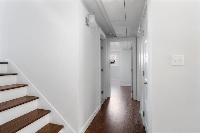 hallway with dark hardwood / wood-style flooring