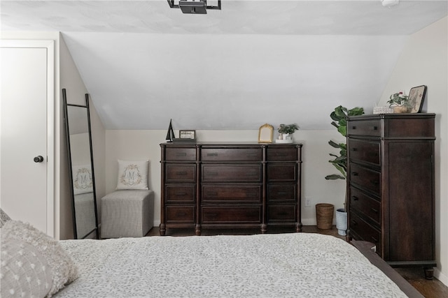 bedroom featuring lofted ceiling and dark wood-type flooring