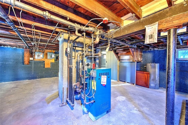 basement featuring electric panel and gas water heater