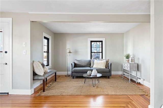 living room with wood-type flooring and a baseboard radiator