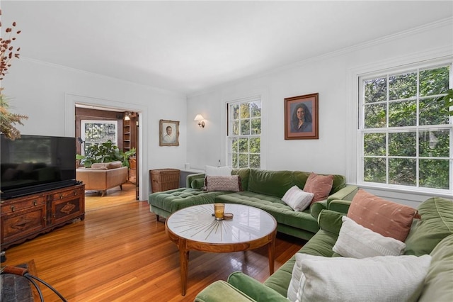 living room featuring hardwood / wood-style flooring and ornamental molding