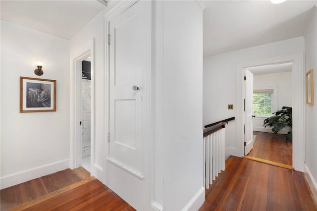 hall featuring dark hardwood / wood-style flooring