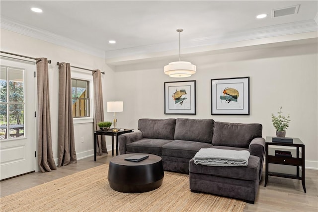 living room featuring ornamental molding and wood-type flooring