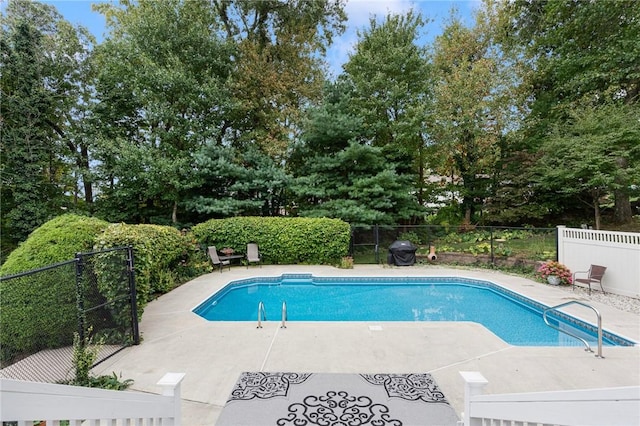 view of swimming pool featuring a patio area