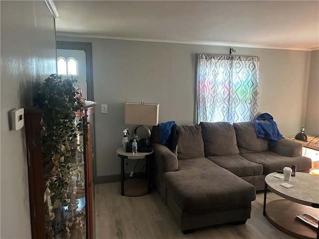 living room with hardwood / wood-style flooring and ornamental molding